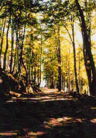 Way to the Mount Gelbison and it's X Century Sanctuary